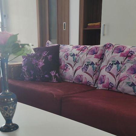 Homestay Kuchařovice Exteriér fotografie