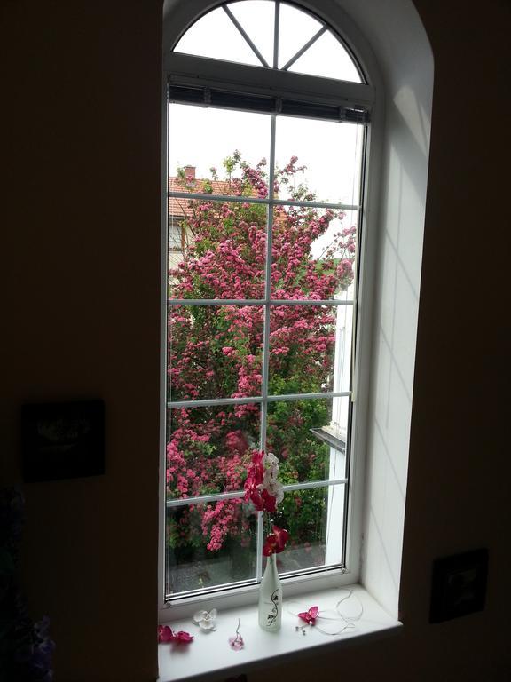 Homestay Kuchařovice Pokoj fotografie